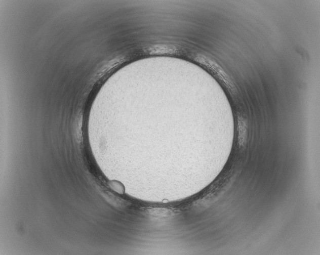 X0000115420490200912151606