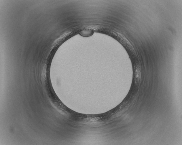 X0000115420492200912151606