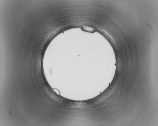 X0000115420493200912151606