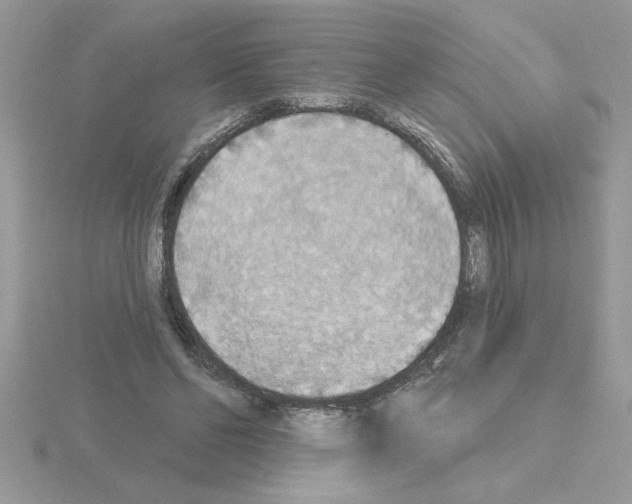 X0000115420494200912151606