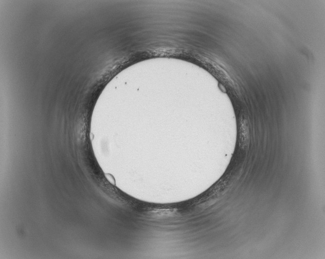 X0000115420499200912151606