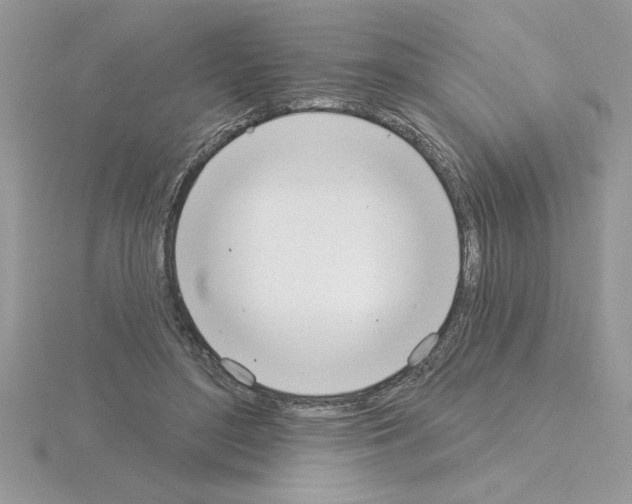 X0000115420500200912151606