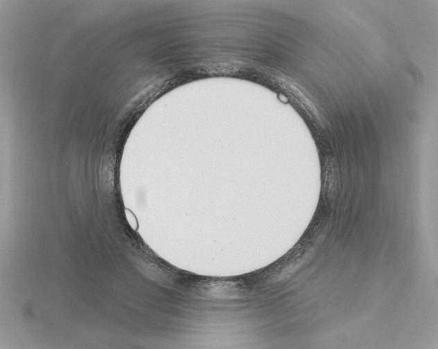 X0000115420501200912151606