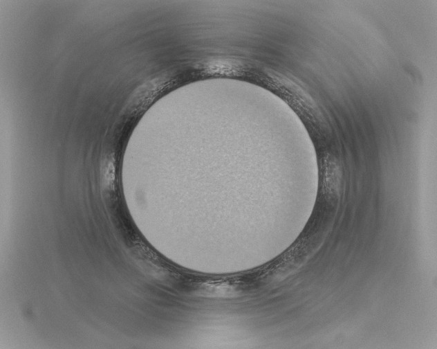 X0000115420502200912151606