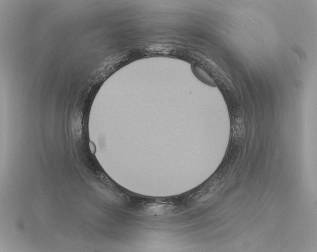X0000115420504200912151606