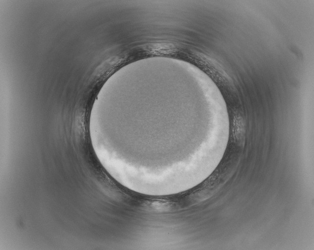 X0000115420506200912151606