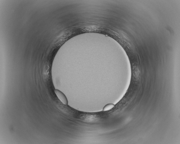 X0000115420507200912151606