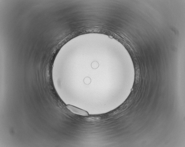 X0000115420508200912151606