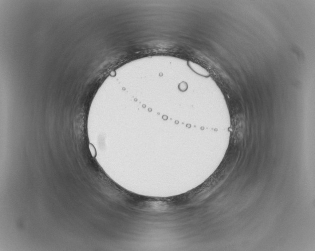 X0000115420509200912151606