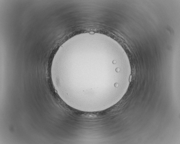 X0000115420512200912151606
