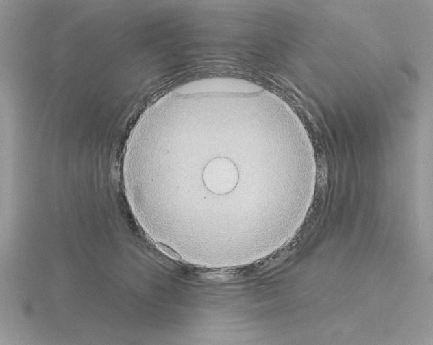 X0000115420516200912151606