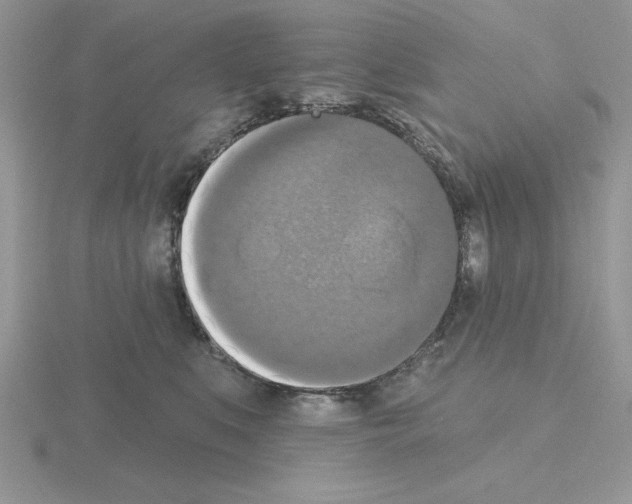 X0000115420519200912151606