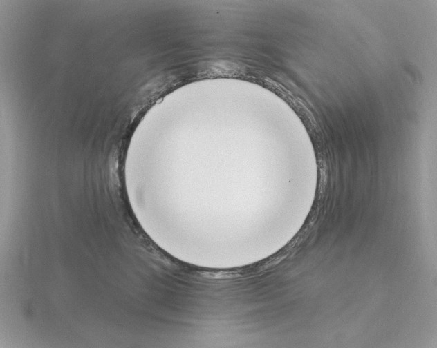 X0000115420520200912151606