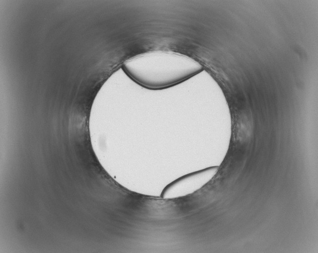 X0000115420521200912151606