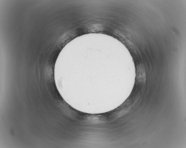 X0000115420523200912151606