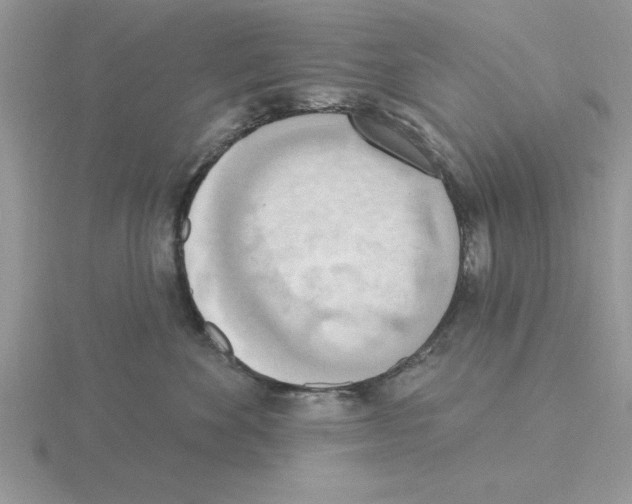 X0000115420524200912151606