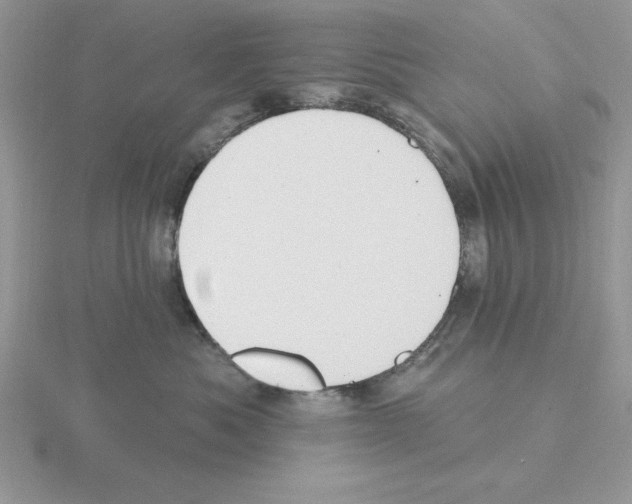 X0000115420525200912151606