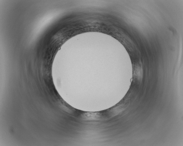 X0000115420526200912151606