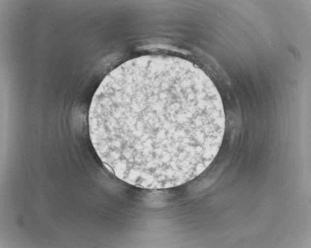 X0000115420527200912151606