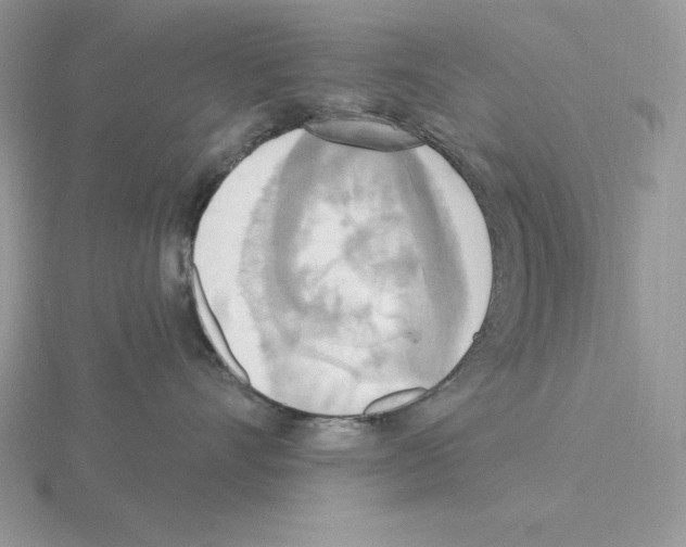 X0000115420528200912151606