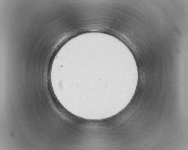 X0000115420530200912151605
