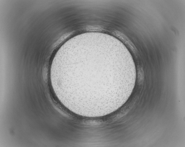 X0000115420533200912151605