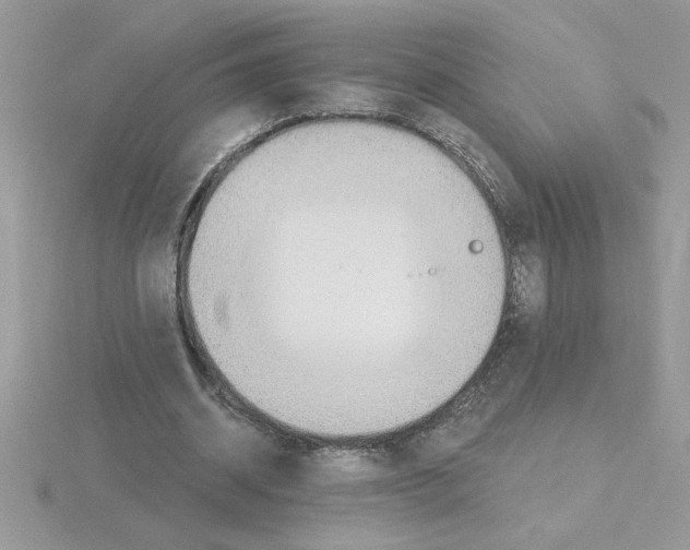 X0000115420534200912151605