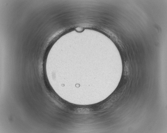 X0000115420535200912151605