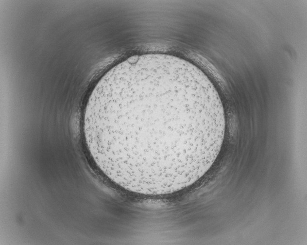 X0000115420537200912151605