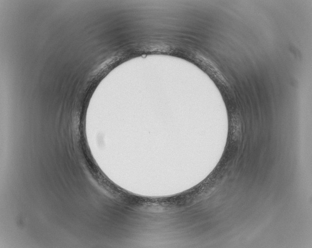 X0000115420538200912151605