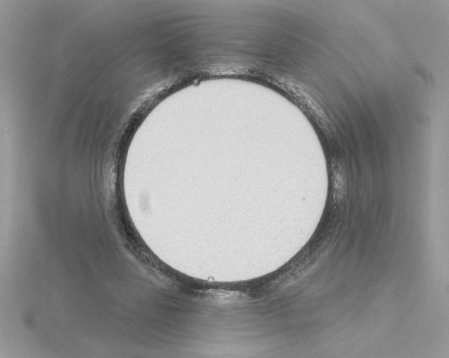 X0000115420539200912151605