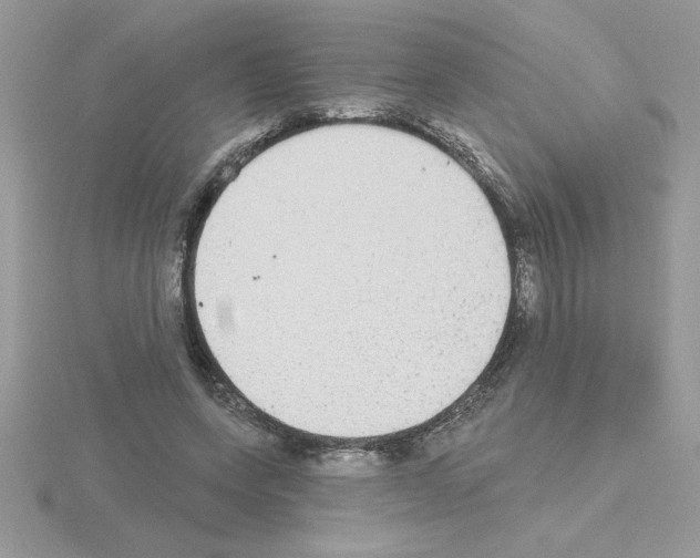 X0000115420543200912151605