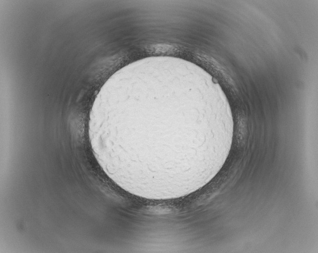 X0000115420545200912151605