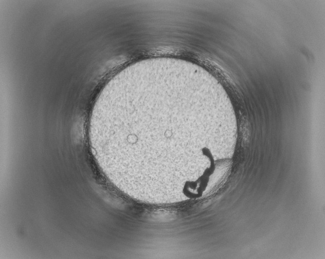 X0000115420546200912151605