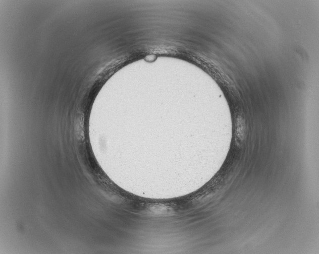 X0000115420547200912151605