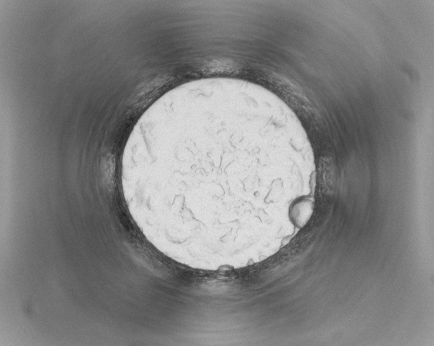 X0000115420550200912151605