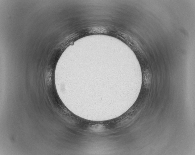 X0000115420551200912151605