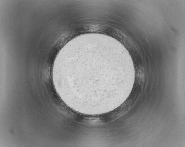 X0000115420554200912151605
