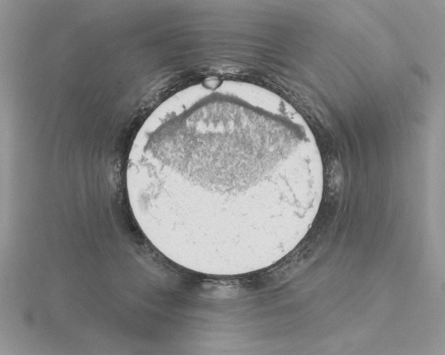 X0000115420559200912151605
