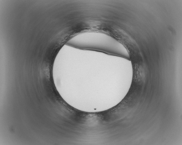 X0000115420562200912151605