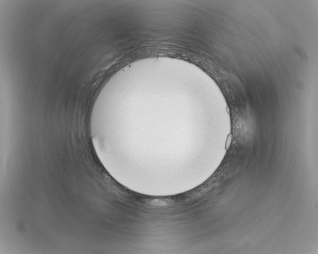 X0000115420566200912151605