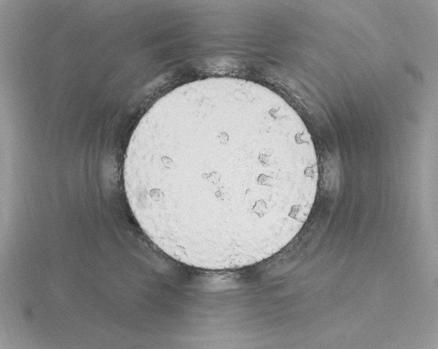 X0000115420569200912151605