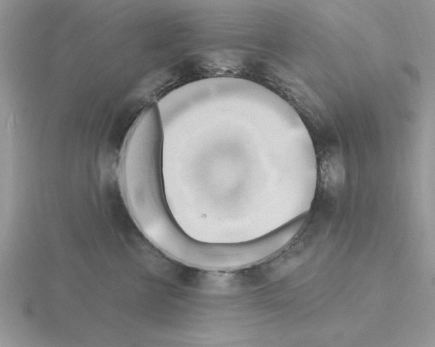 X0000115420570200912151605
