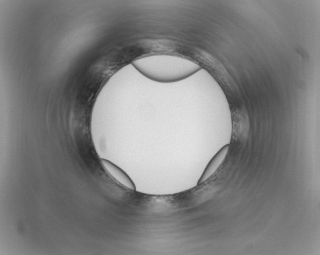 X0000115420573200912151605