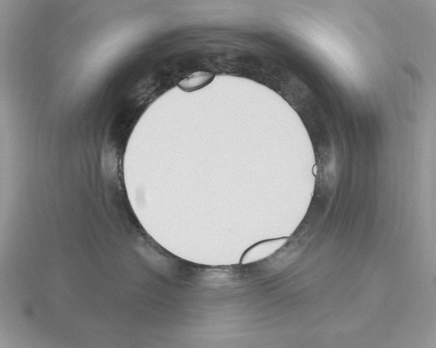 X0000115420574200912151605
