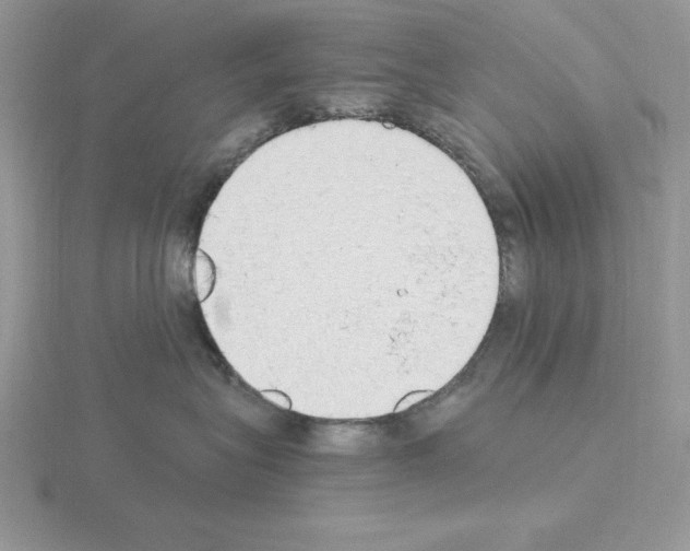X0000115420575200912151606