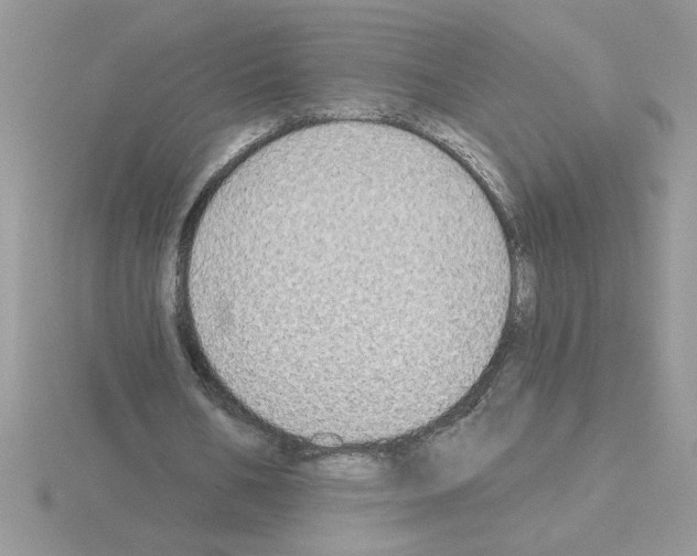 X0000115420578200912151605