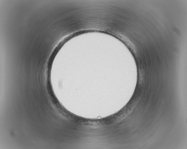 X0000115420580200912151605