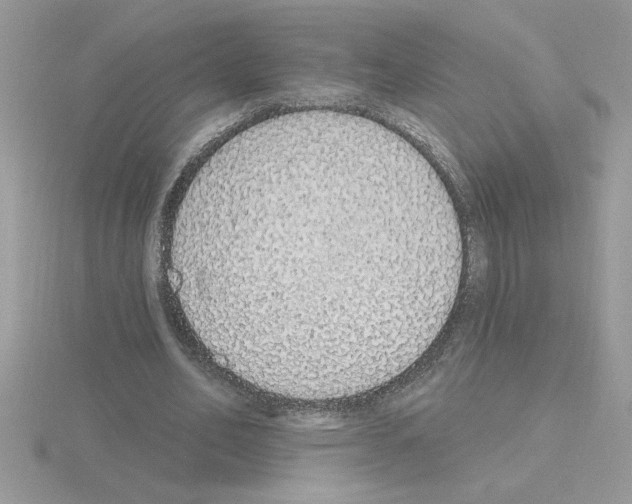 X0000115420582200912151605