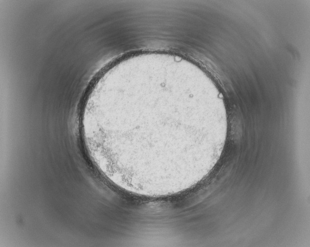 X0000115420584200912151605